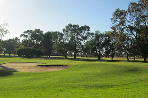 Comfort Inn & Suites Riverland - Sunshine Coast Tourism 9