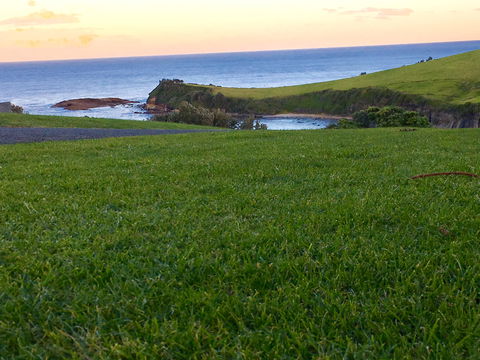Park Ridge Retreat - Sunshine Coast Tourism 9