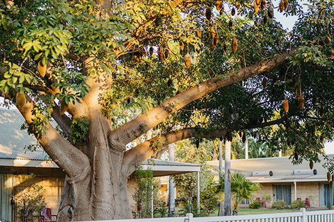 Kimberley Grande Resort & Conf Ctr - Holiday Sunshine Coast 0