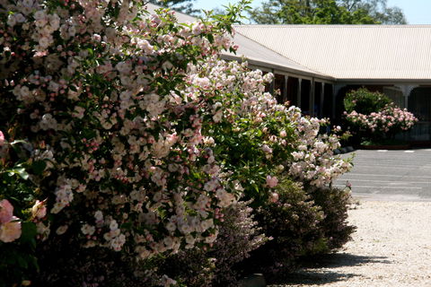 Wine Village Motor Inn - Sunshine Coast Tourism 0