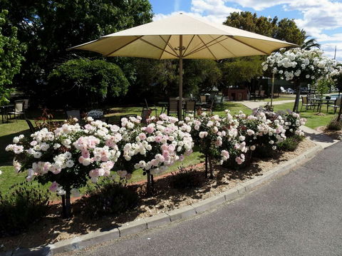 Wine Village Motor Inn - Sunshine Coast Tourism 1