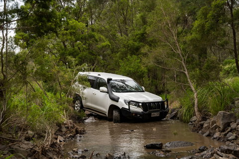 Spicers Hidden Vale - Sunshine Coast Tourism 14