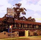 Golden Chain Ascot Motor Inn - Sunshine Coast Tourism