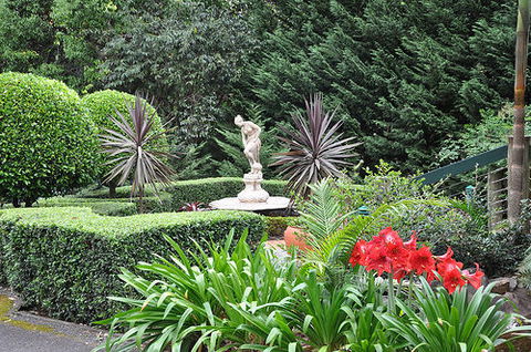 Escarpment Retreat - Holiday Sunshine Coast 0