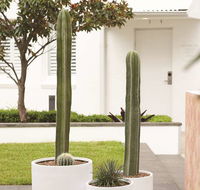 Adina Apartment Hotel Chippendale - Sunshine Coast Tourism