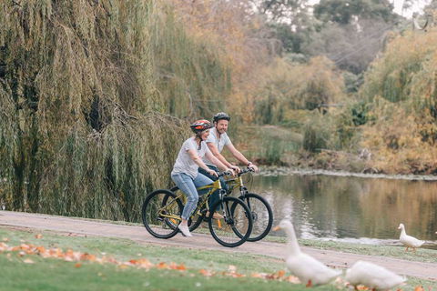 Country Club Villas - Holiday Sunshine Coast 6