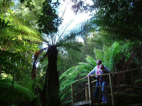 Huon Bush Retreats - Sunshine Coast Tourism 1