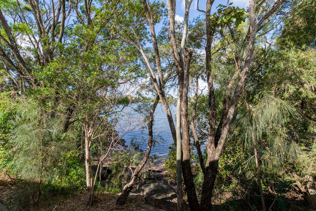 Diddillibah QLD Sunshine Coast Tourism