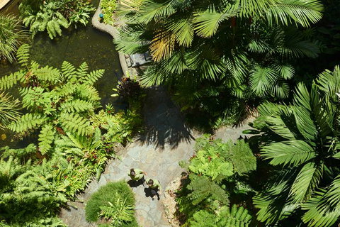 DoubleTree by Hilton Cairns - Holiday Sunshine Coast 2