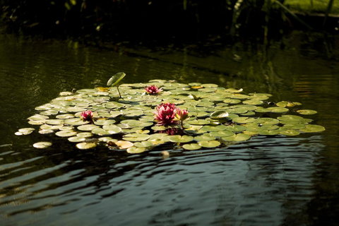 University House - ANU - Sunshine Coast Tourism 17