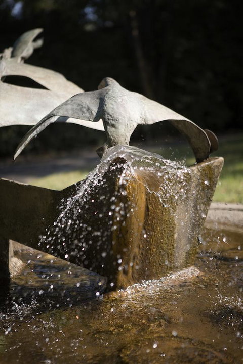 University House - ANU - Sunshine Coast Tourism 30