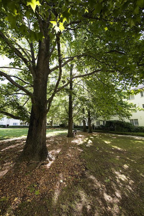 University House - ANU - Sunshine Coast Tourism 28