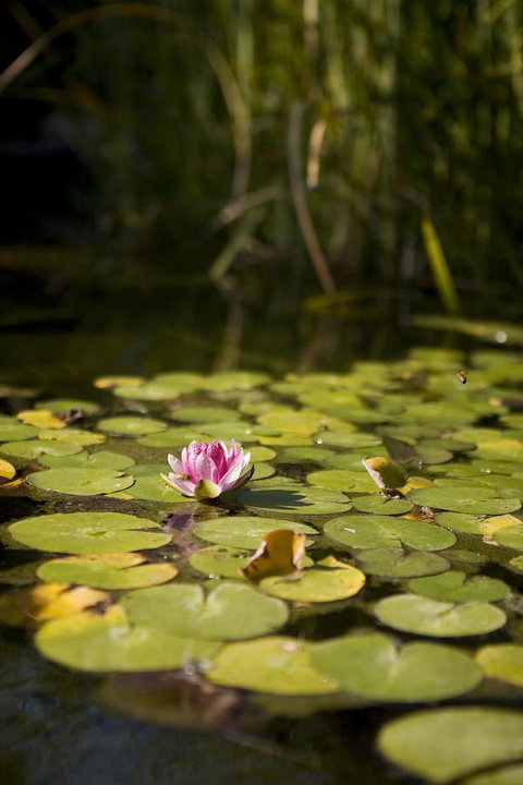 University House - ANU - Sunshine Coast Tourism 35