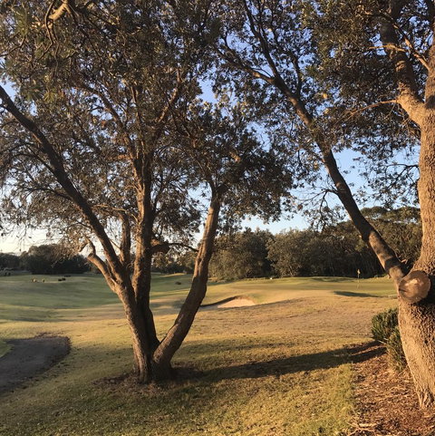 Bangalay Luxury Villas - Sunshine Coast Tourism 37