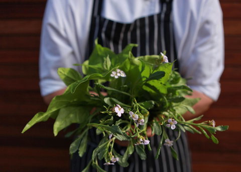 Bangalay Luxury Villas - Sunshine Coast Tourism 35