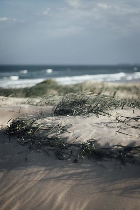 Bangalay Luxury Villas - Sunshine Coast Tourism 9