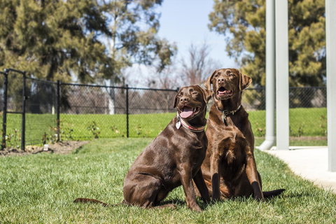 Abode Narrabundah - Sunshine Coast Tourism 21