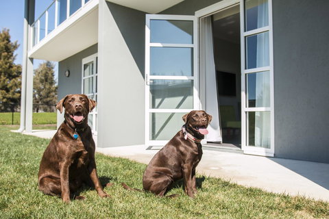 Abode Narrabundah - Sunshine Coast Tourism 20