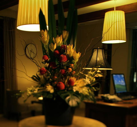 De Russie Boutique Hotel - Sunshine Coast Tourism 26