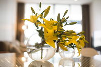 KUI - Manhattan Apartments