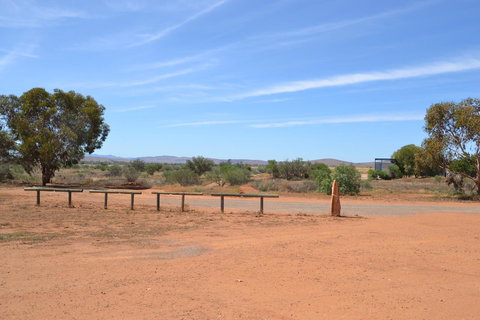 Windana Cottages - Sunshine Coast Tourism 23