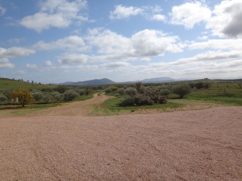 Windana Cottages - Sunshine Coast Tourism 37