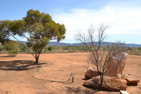 Windana Cottages - Sunshine Coast Tourism 25