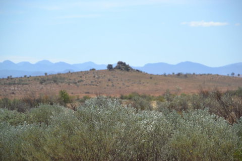 Windana Cottages - Sunshine Coast Tourism 30