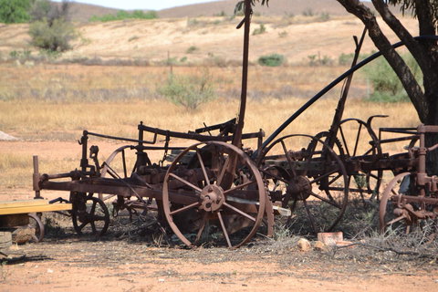 Windana Cottages - Sunshine Coast Tourism 26