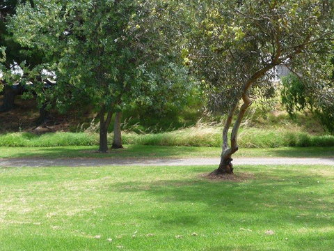 Victor Harbor Holiday Park - Sunshine Coast Tourism 24