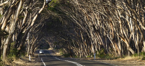 Mercure Kangaroo Island Lodge - Holiday Sunshine Coast 40