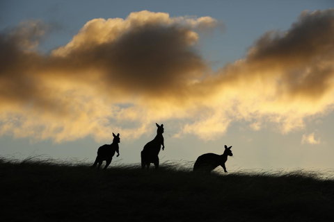 Sky House Kangaroo Island - Holiday Sunshine Coast 37