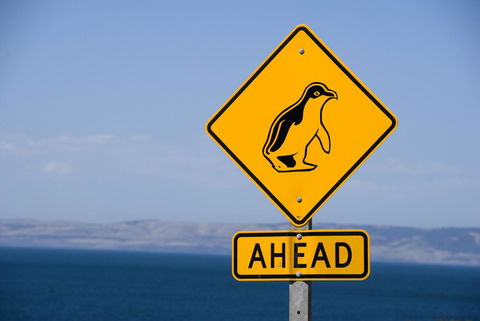 Kangaroo Island Seafront - Holiday Sunshine Coast 43