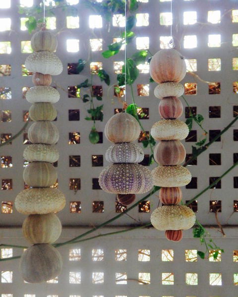 Driftwood On Dover - Sunshine Coast Tourism 11