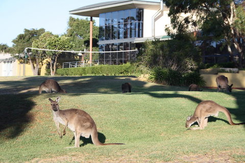 BreakFree Wirrina Cove - Holiday Sunshine Coast 28