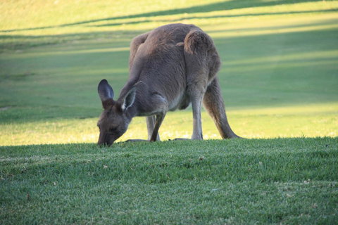 BreakFree Wirrina Cove - Holiday Sunshine Coast 24