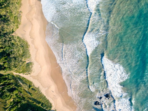 Pacific Bay Resort - Sunshine Coast Tourism 25