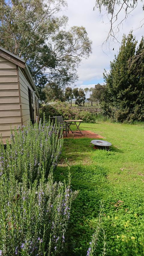 Lost In The Vines - Sunshine Coast Tourism 22