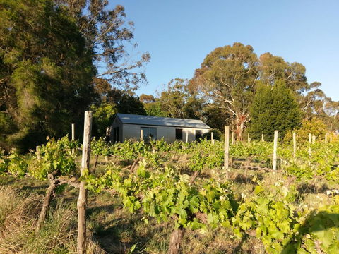 Lost In The Vines - Sunshine Coast Tourism 25