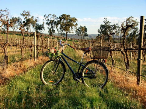 Lost In The Vines - Sunshine Coast Tourism 17
