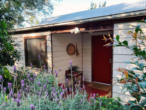 Lost In The Vines - Sunshine Coast Tourism 13