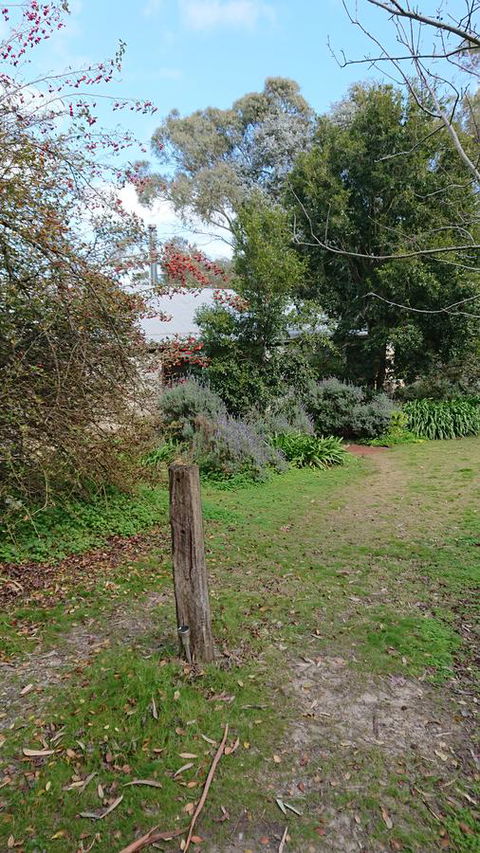 Lost In The Vines - Sunshine Coast Tourism 21