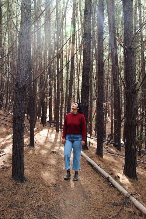 Lost In The Vines - Sunshine Coast Tourism 19