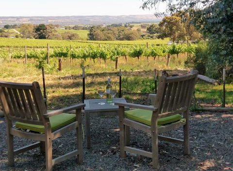 Lost In The Vines - Sunshine Coast Tourism 23