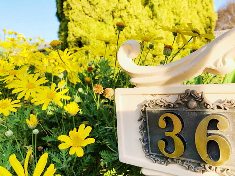 Beautiful Garden House - Holiday Sunshine Coast 1