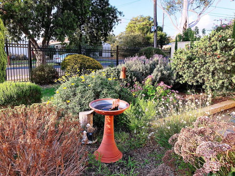 Beautiful Garden House - Holiday Sunshine Coast 21