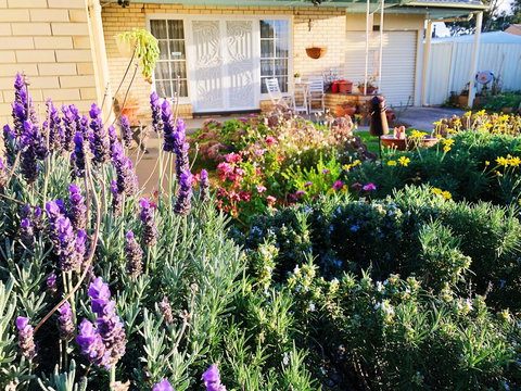 Beautiful Garden House - Holiday Sunshine Coast 9