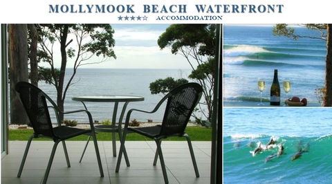 Mollymook Beach Waterfront - Sunshine Coast Tourism 1