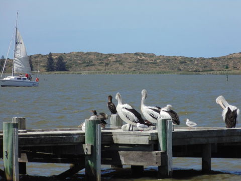 Baronet B & B - Sunshine Coast Tourism 20