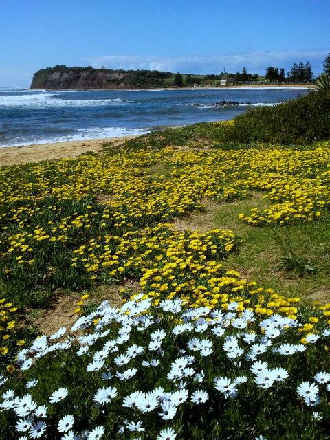 Serenity On Narrabeen Beach - 1Bdr Beachside Retreat - Sunshine Coast Tourism 10